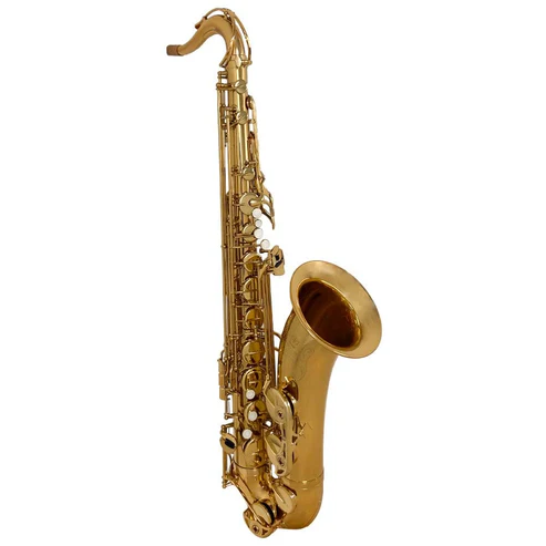 Saxofón Yamaha modelo YAS-23